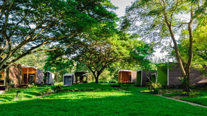 Modern cottage in green nature trees, Green field garden with sun light in the morning