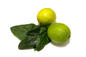 Fresh lime fruits with leaves. Studio photography on a white background.