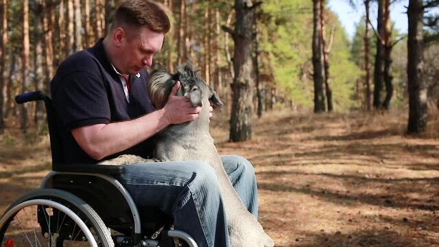 A disabled man plays with a dog, therapeutic therapy through dog training. A person in a wheelchair. Selective focus
