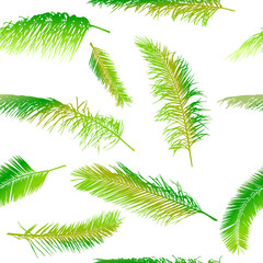 Palm leaves. seamless background. Vector illustration