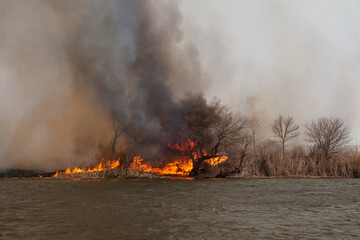Large fire on banks of Volga River in Astrakhan region. Russia.  Burning dry grass and reed.  Fire...