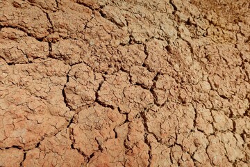 Cracked and dead muddy soil in Fayoum in Egypt