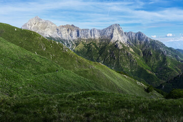 Fototapeta premium alpi papuane