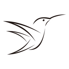 hummingbird design on white background. icon symbol. Illustrator. Black and White