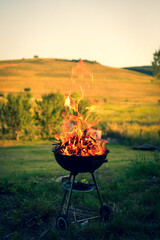 barbecue on the fire