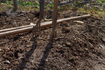 Garden tools pitchfork lie on the ground in the garden in spring or autumn