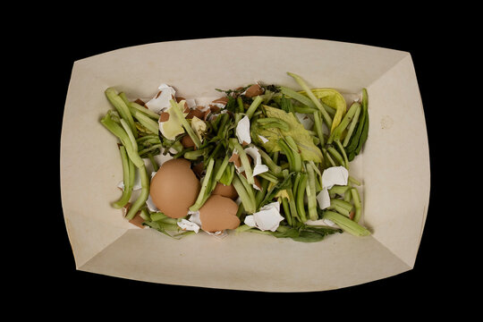 Raw Food Waste And Kitchen Scraps  In A Compostable Food Container. Recycling And Composting Concept To Reduce Landfill.