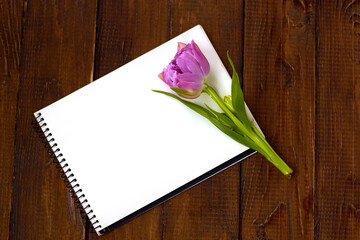Pink tulip with notebook on wooden background. Background for greetings, invitations , and postcards.