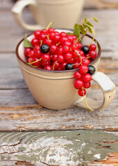 Close-up of fresh raw red currant berries in  beige cup