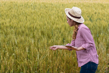 Asian young woman farmer examining in the middle of a wheat field.Modern internet communication quality checking survey technologies.