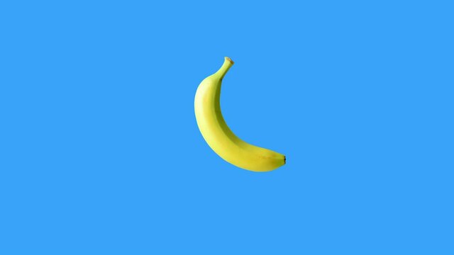 moving bananas in loop spinning motion at blue chroma key background