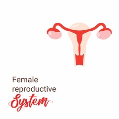 Uterus vector icon Illustration, Human anatomy. Female reproductive system, Outline women's reproductive organs. Organs location scheme uterus, cervix, ovary, fallopian tube icon.