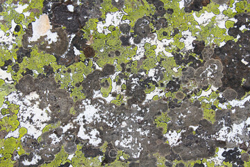 Mountain stone. Close-up. Background. Texture.