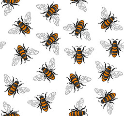 Honey Bee Seamless Pattern on White Background. Vector