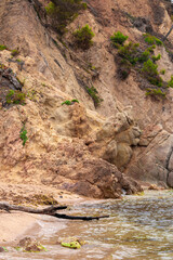 beach on the costa brava in northern spain on a clear summer day