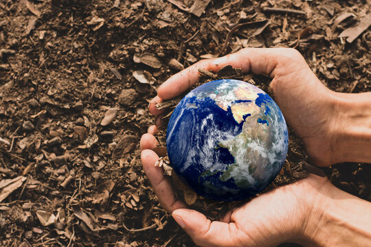 The agricultural man's hand was holding a small blue world in his hands resting on the ground, Earth Day Concept, Elements of this image furnished by NASA.