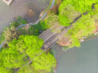Early spring aerial scenery of Moshan Rhododendron Garden in East Lake, Wuhan, Hubei, China