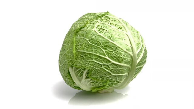 savoy cabbage isolated on white background