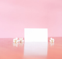 Blank horizontal white small card on a pink wall. Three white apricot flowers are available nearby. Free space for your text. Spring still life.