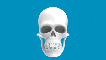 Skull of the human isolated on a blue background. 3d render white skull. Full face