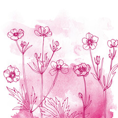 Flowers and herbs line on watercolor background