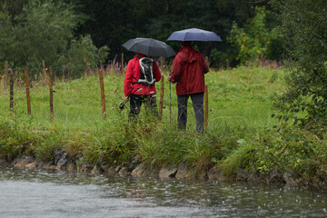 Ehepaar mit Regenschirmen bei einem Spaziergang im Regen durch die Natur