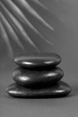 Stack of black zen balance stones with palm leaf in monochrome photography. Minimal arrangement. Creative concept of SPA. Copy space.