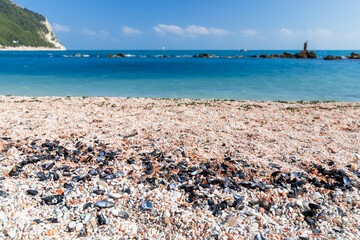 Pebbles and seashells on the Urbani Beach of the coast of riviera del Conero. Sirolo, Italy