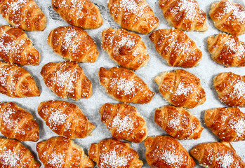 close up of a Cheese pastry