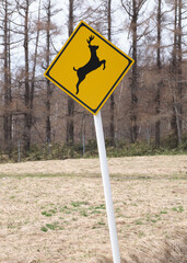 動物飛び出し注意の道路標識(Road sign to watch out for animals)