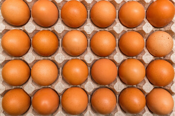 Raw brown chicken eggs in a cardboard tray background