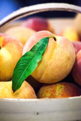 Two Ripe peaches together with a leaf.