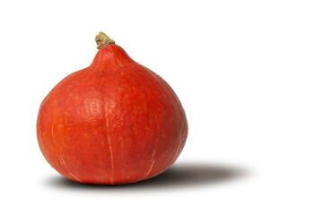 One raw red pumpkin vegetable isolated on white 