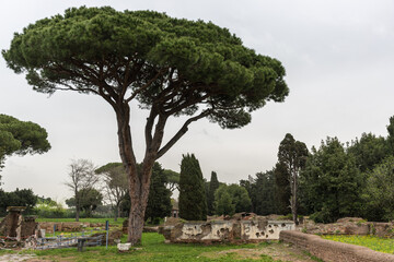 Fototapeta premium Ostia Antica