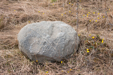 a large stone boulder on the field. Spring nature