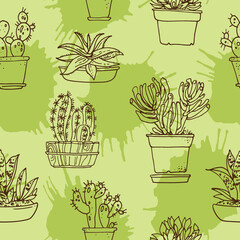 Succulents. Cacti line drawn on a white background. Flowers in the desert. Vektoryny drawing succulents.