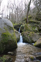 Ruisseau de montagne 2