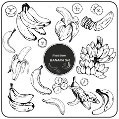 set of hand drawn bananas, set of bananas, set of fruits? set of hand drawn fruits