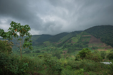 Pygmy peoples village next to Bwindi Impenetrable Forest in Uganda, Africa