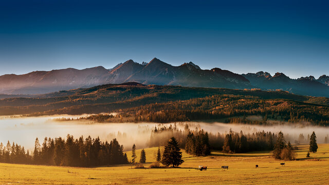 Fototapeta Łapsznaka - Tatry