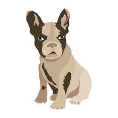 Dog French Bulldog vector flat illustration on white. hand drawing