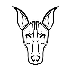 Fototapeta na wymiar Black and white line art of Doberman Pinscher dog head. Good use for symbol, mascot, icon, avatar, tattoo, T Shirt design, logo or any design you want.