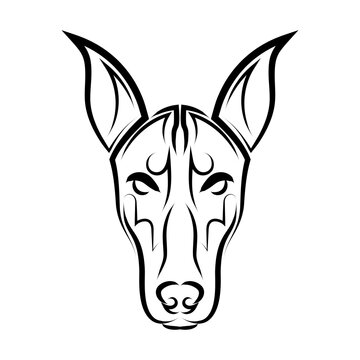 recommend clip art: Black and white line art of Doberman Pinscher dog head. Good use for symbol, mascot, icon, avatar, tattoo, T Shirt design, logo or any design you want.