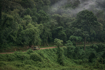 A road in Bwindi Impenetrable Forest, Uganda, Africa