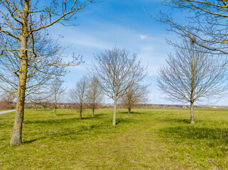 Frühling in Hannover Kronsbereg.