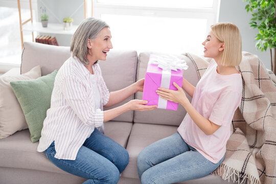 Profile side photo of happy positive mom and young lady give present good mood holiday indoors inside house