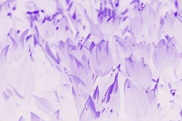 Violet watercolor background with floral tulips pattern