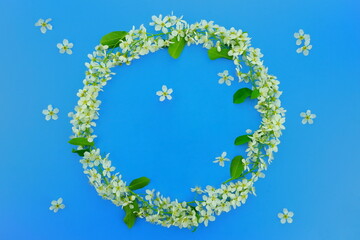 Round frame of white flowers on a blue background. Easter, Birthday, Mother's Day, Women's Day concept. Top view, copy space, flat lay.	
