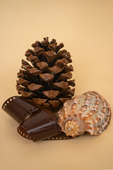 vacation souvenirs, memories, creative concept 