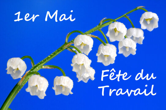 909 Best 1er Mai Images Stock Photos Vectors Adobe Stock
